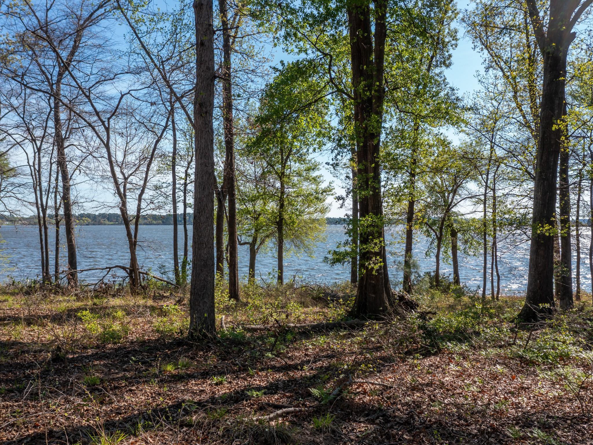 3108 Shadow Pine Drive Larue TX 75770