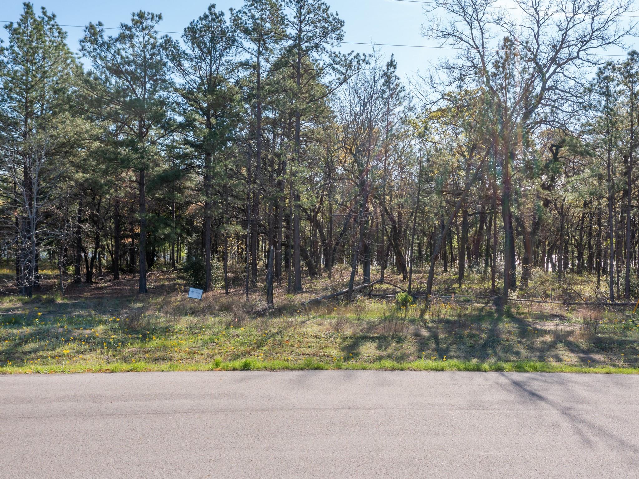 3108 Shadow Pine Drive Larue TX 75770