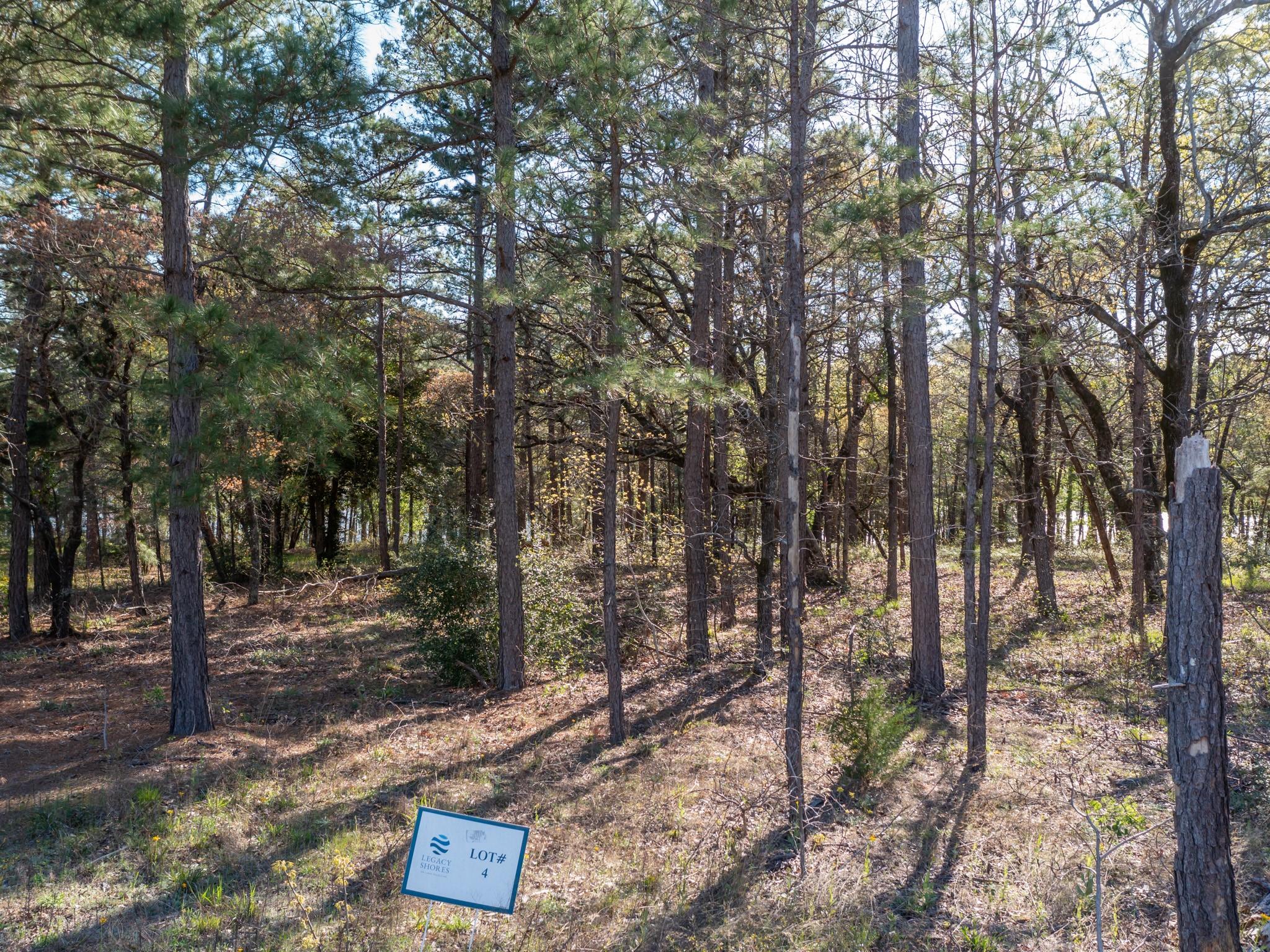 3108 Shadow Pine Drive Larue TX 75770