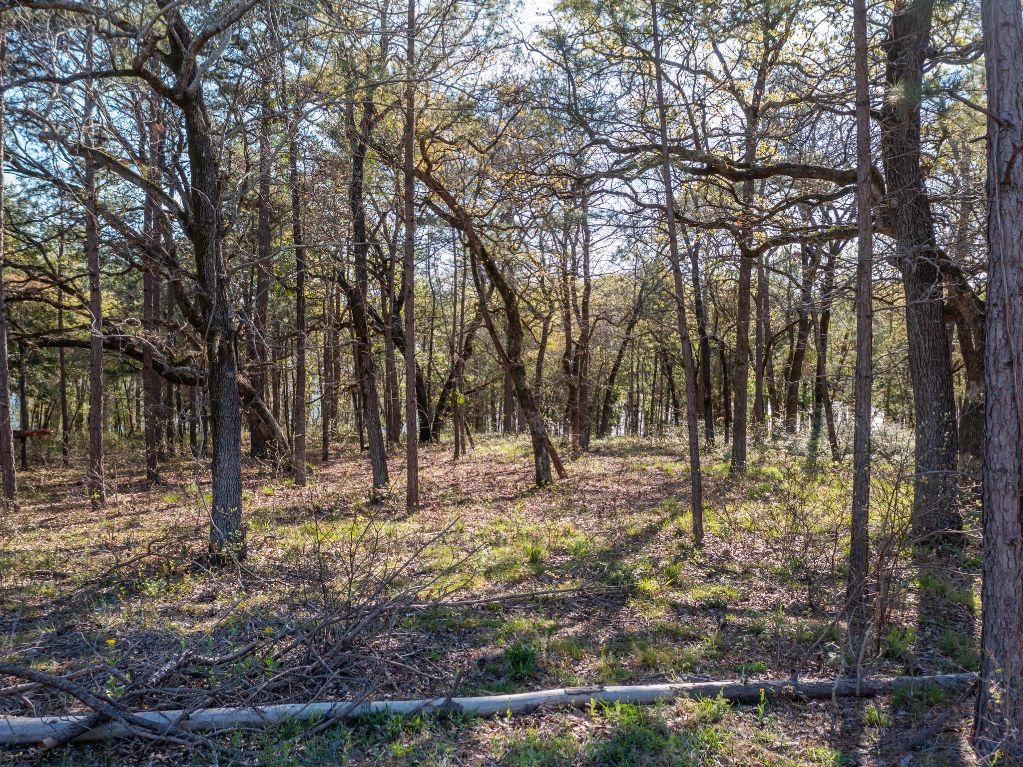 3108 Shadow Pine Drive Larue TX 75770