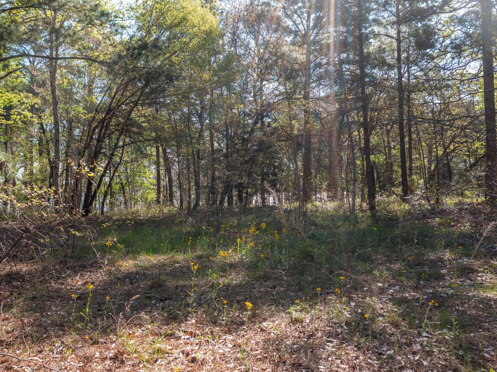 3108 Shadow Pine Drive Larue TX 75770