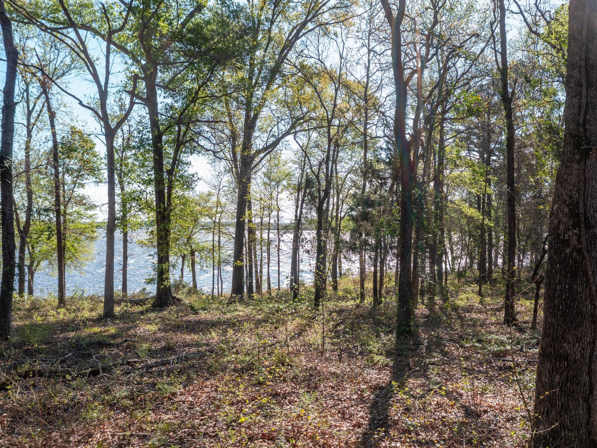 3108 Shadow Pine Drive Larue TX 75770