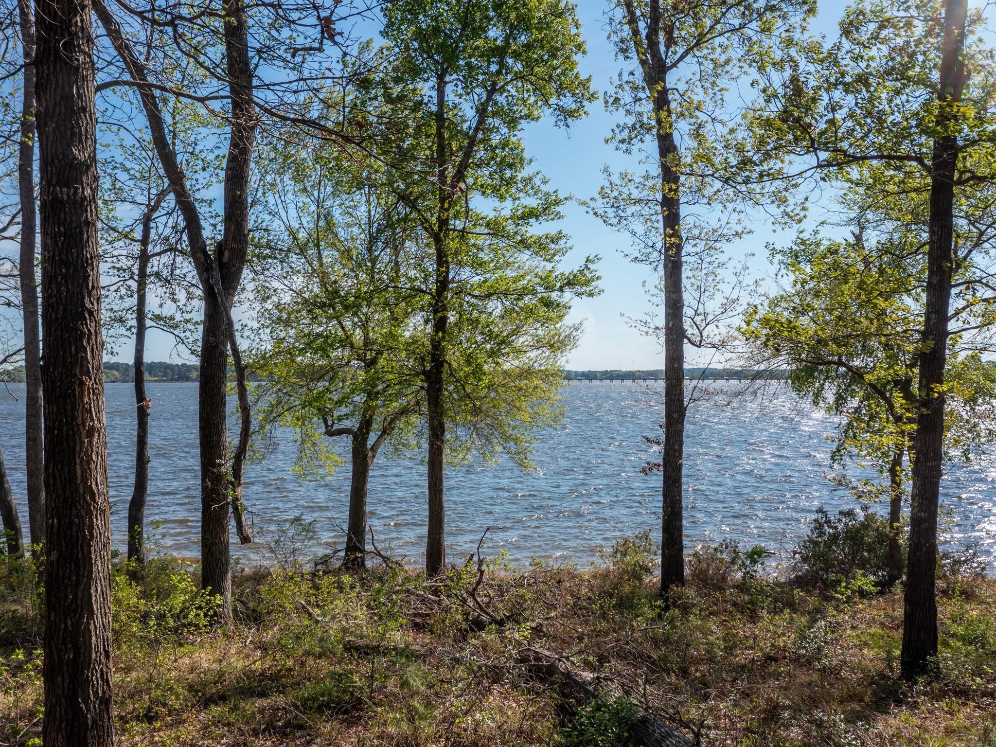 3108 Shadow Pine Drive Larue TX 75770