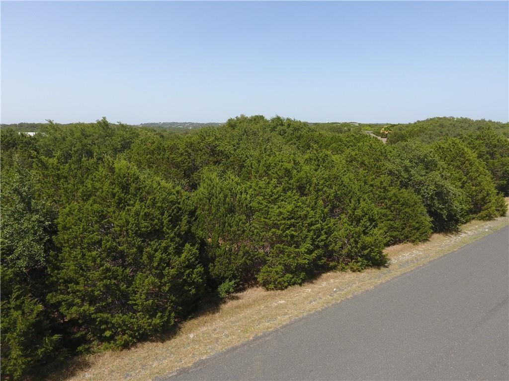 10052 W Cave Loop Dripping Springs TX 78620