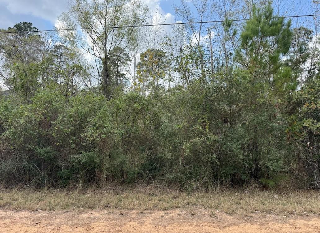 Lot 233 Makaha Drive Bastrop TX 78602