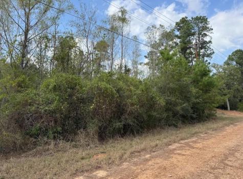 Lot 233 Makaha Drive Bastrop TX 78602