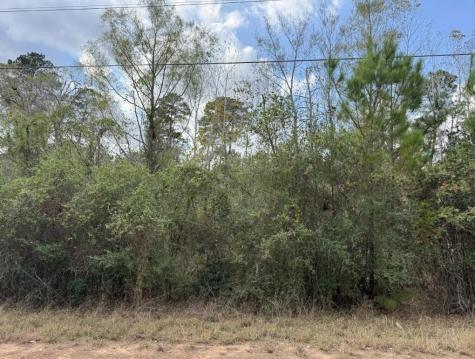 Lot 233 Makaha Drive Bastrop TX 78602