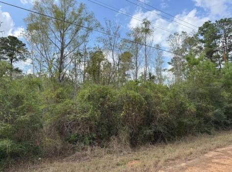 Lot 233 Makaha Drive Bastrop TX 78602