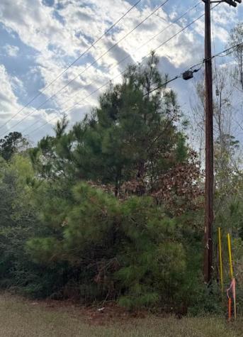 Lot 233 Makaha Drive Bastrop TX 78602
