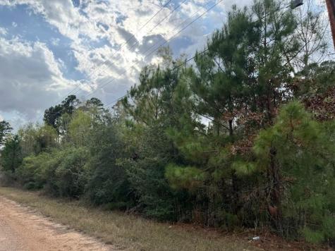 Lot 233 Makaha Drive Bastrop TX 78602