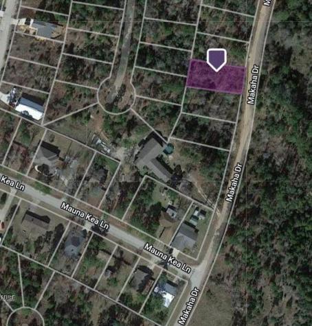 Lot 233 Makaha Drive Bastrop TX 78602