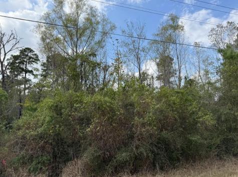 Lot 233 Makaha Drive Bastrop TX 78602