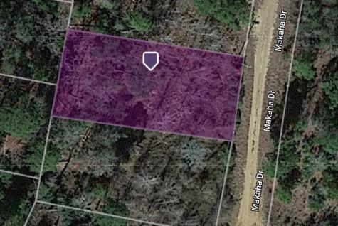 Lot 233 Makaha Drive Bastrop TX 78602