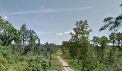 Lot 233 Makaha Drive Bastrop TX 78602