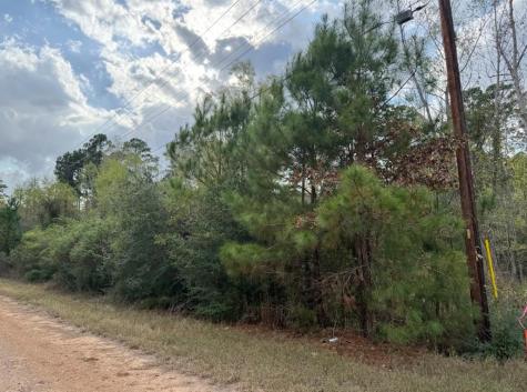 Lot 233 Makaha Drive Bastrop TX 78602
