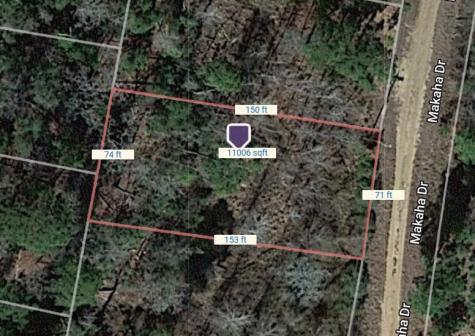 Lot 233 Makaha Drive Bastrop TX 78602