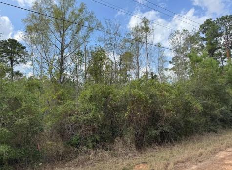 Lot 233 Makaha Drive Bastrop TX 78602