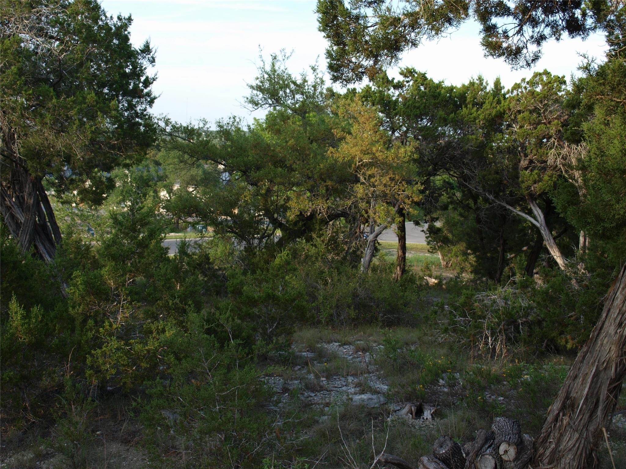 Lot 8 B Broadwing Cove Austin TX 78737