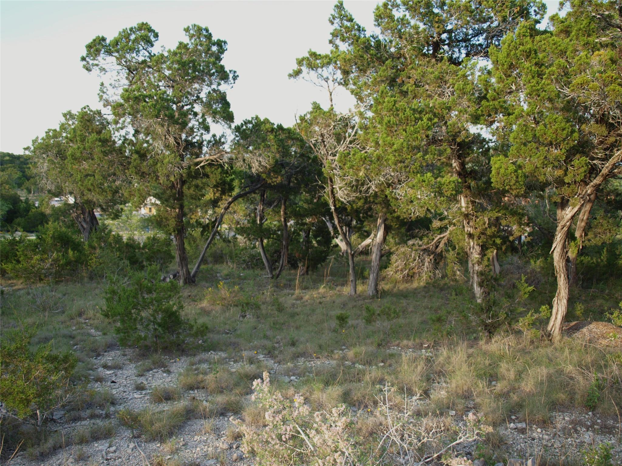 Lot 8 B Broadwing Cove Austin TX 78737