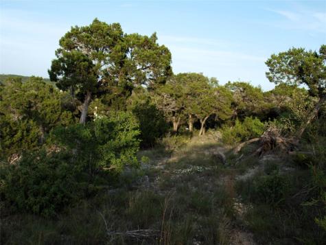 Lot 8 B Broadwing Cove Austin TX 78737