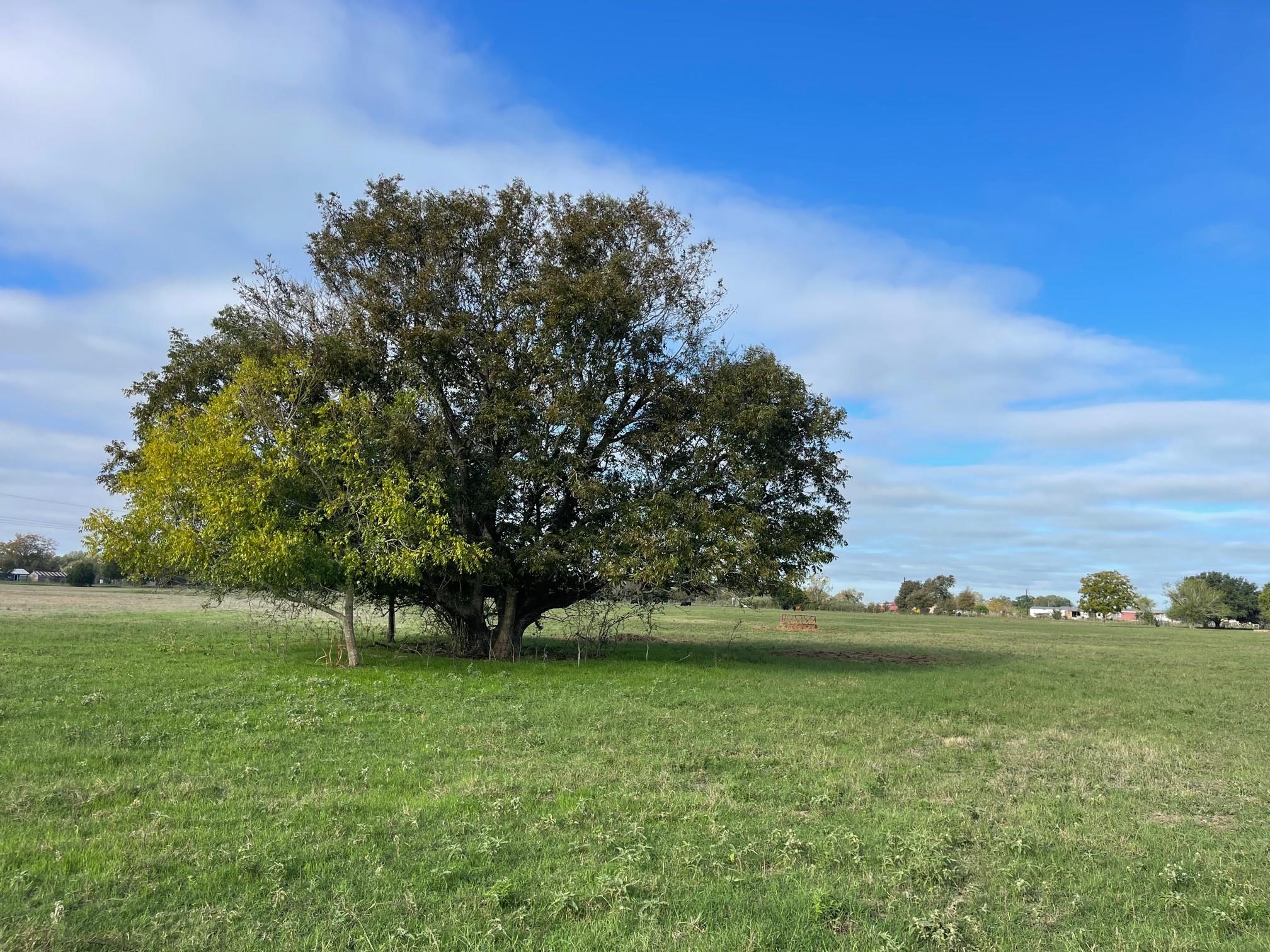 741 Muzny Lane La Grange TX 78945