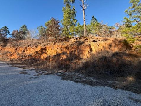 Lot 181 Keo Kea Court Bastrop TX 78602
