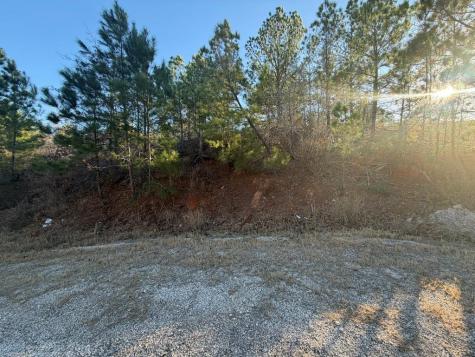 Lot 181 Keo Kea Court Bastrop TX 78602