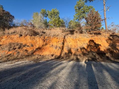 Lot 181 Keo Kea Court Bastrop TX 78602