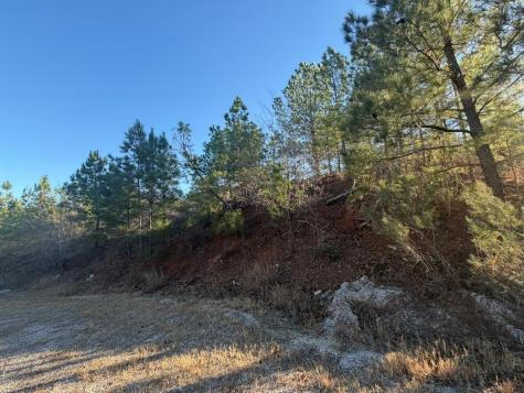 Lot 181 Keo Kea Court Bastrop TX 78602