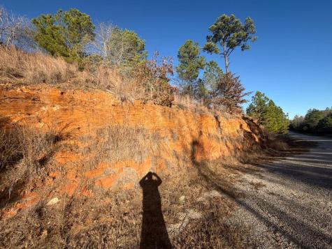 Lot 181 Keo Kea Court Bastrop TX 78602