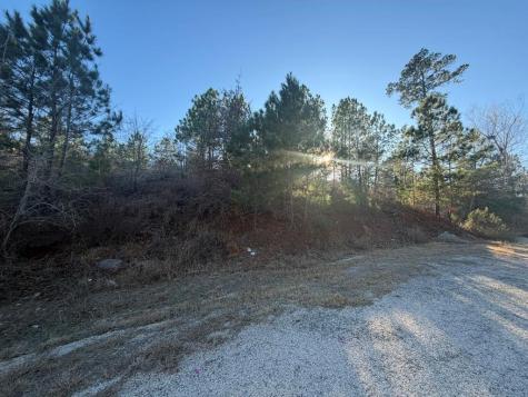 Lot 181 Keo Kea Court Bastrop TX 78602