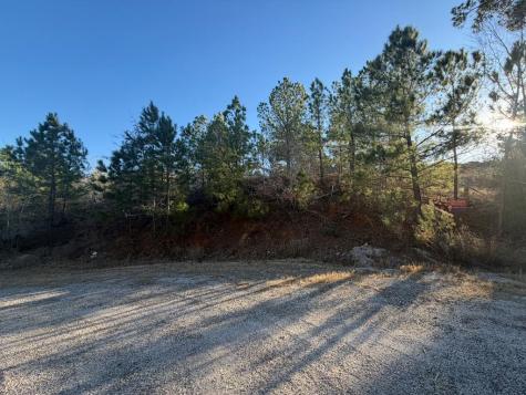 Lot 181 Keo Kea Court Bastrop TX 78602
