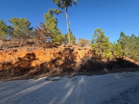 Lot 181 Keo Kea Court Bastrop TX 78602