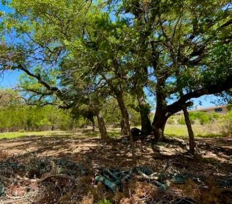 21422 Patton Avenue Lago Vista TX 78645