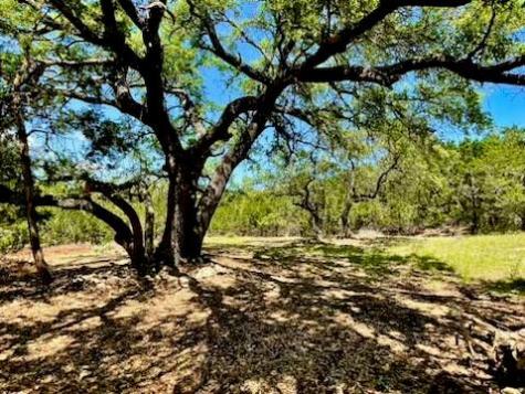 21422 Patton Avenue Lago Vista TX 78645