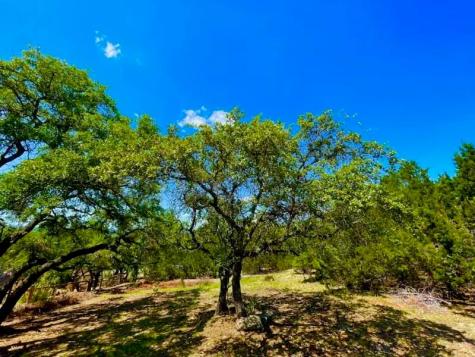 21422 Patton Avenue Lago Vista TX 78645