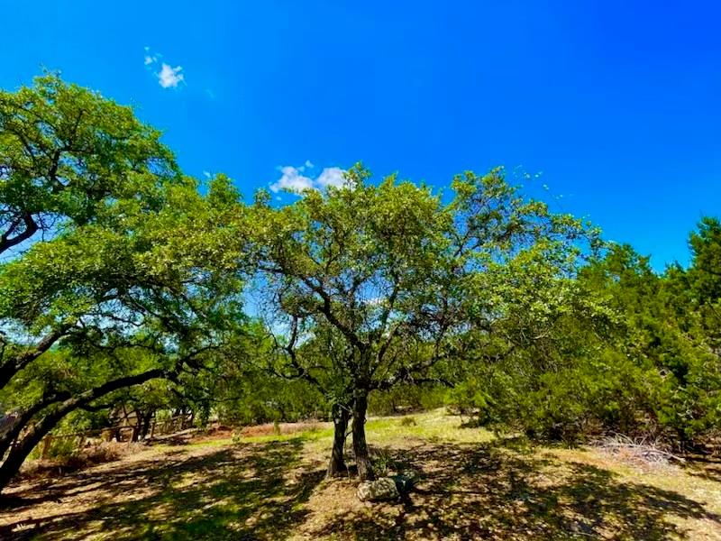 21422 Patton Avenue Lago Vista TX 78645