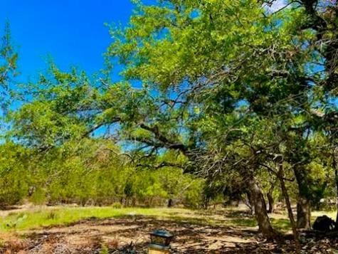 21422 Patton Avenue Lago Vista TX 78645