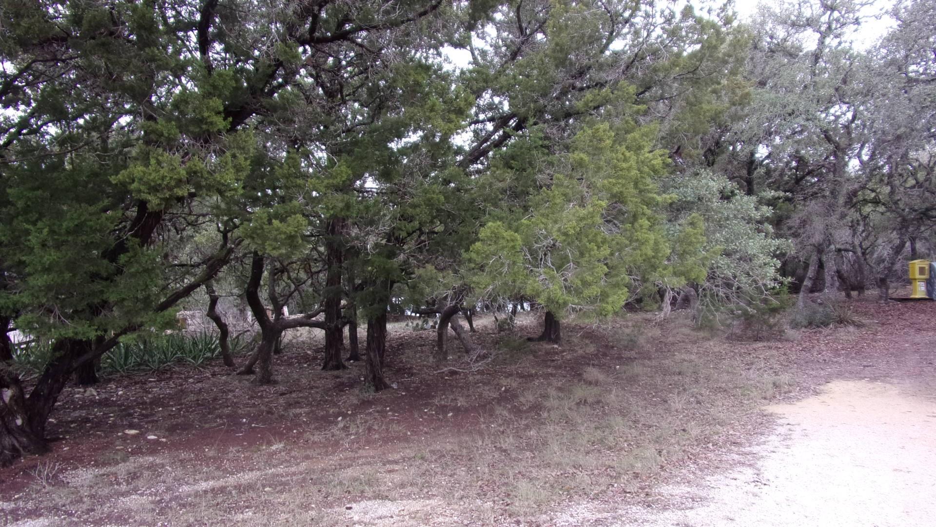 Lot 46 Mountain Wood Canyon Lake TX 78133
