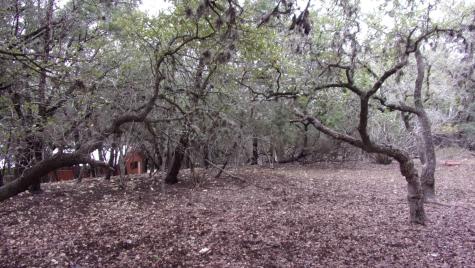 Lot 46 Mountain Wood Canyon Lake TX 78133