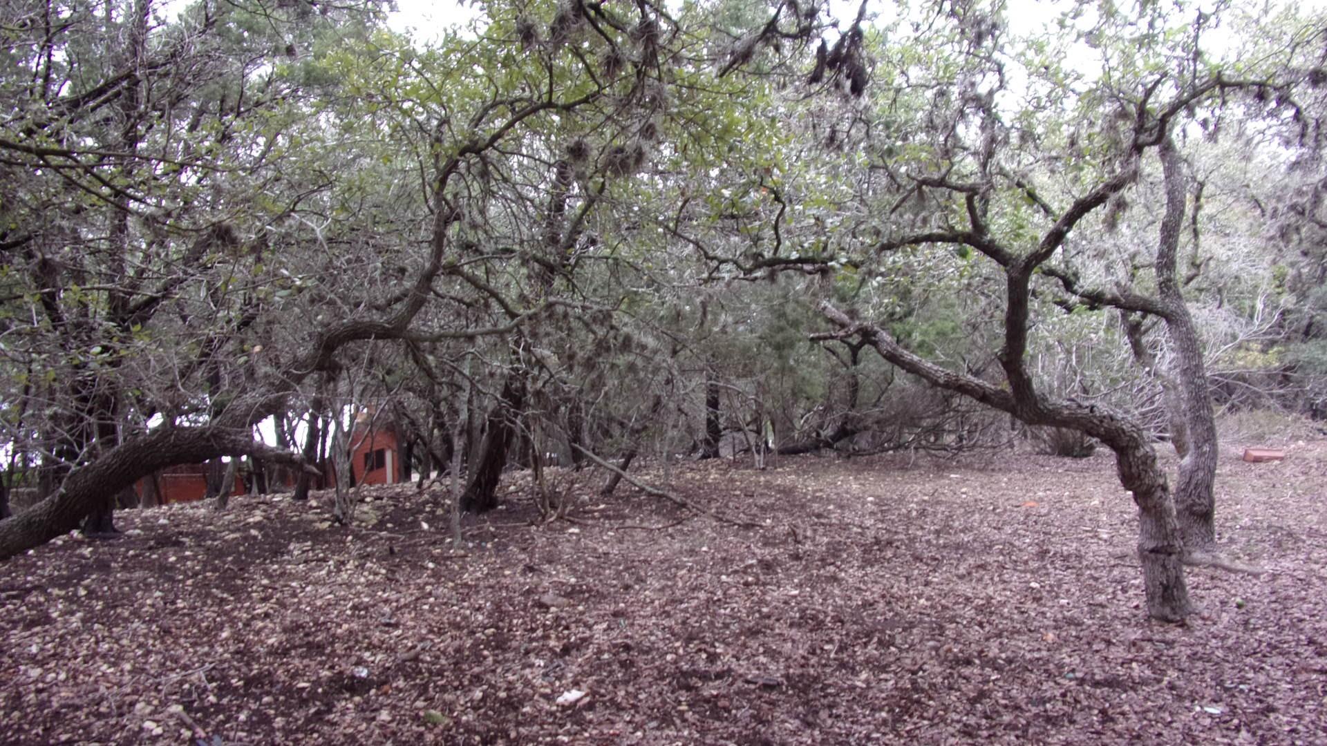 Lot 46 Mountain Wood Canyon Lake TX 78133