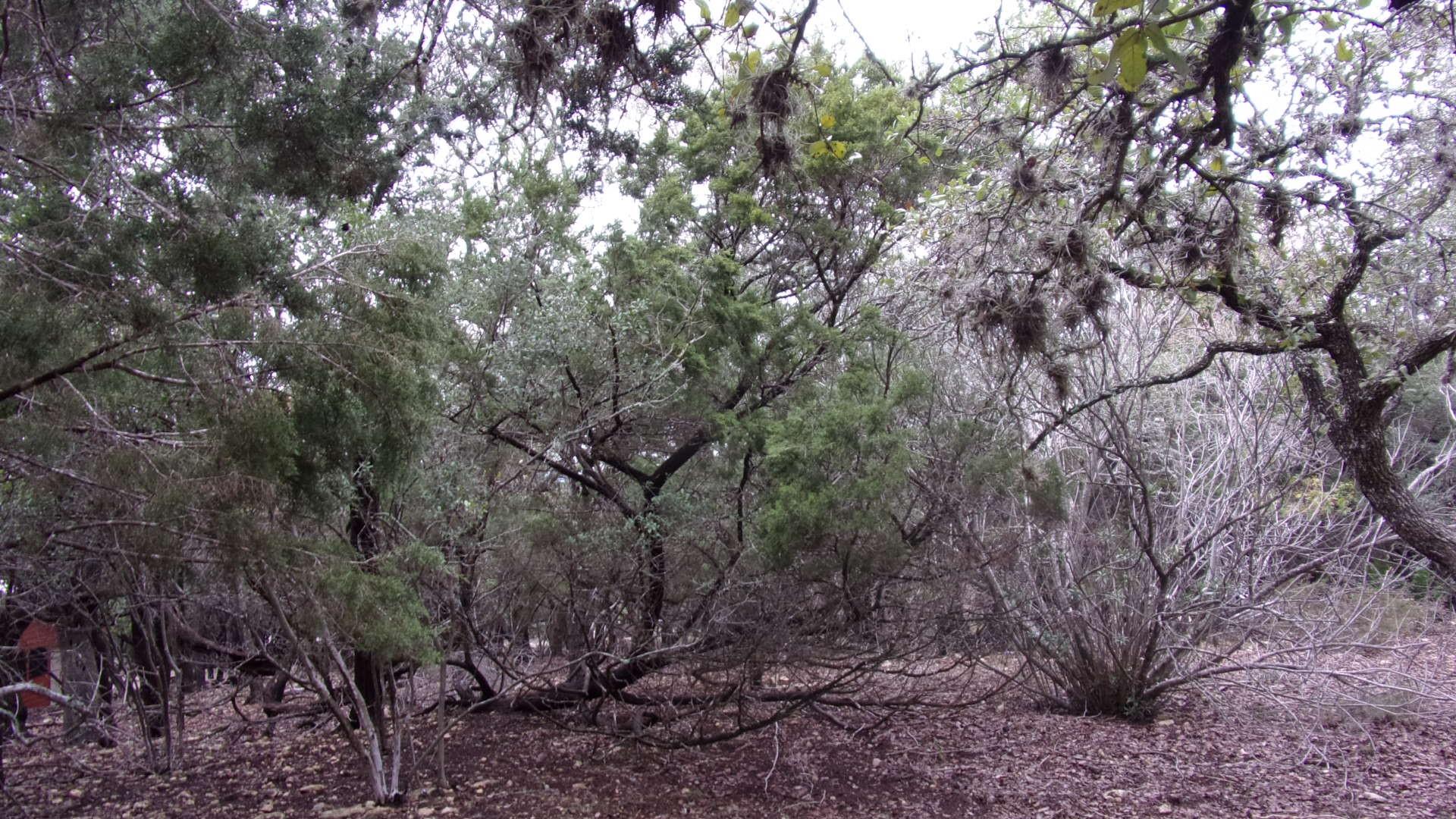 Lot 46 Mountain Wood Canyon Lake TX 78133