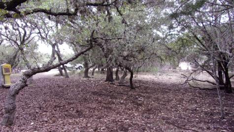 Lot 46 Mountain Wood Canyon Lake TX 78133