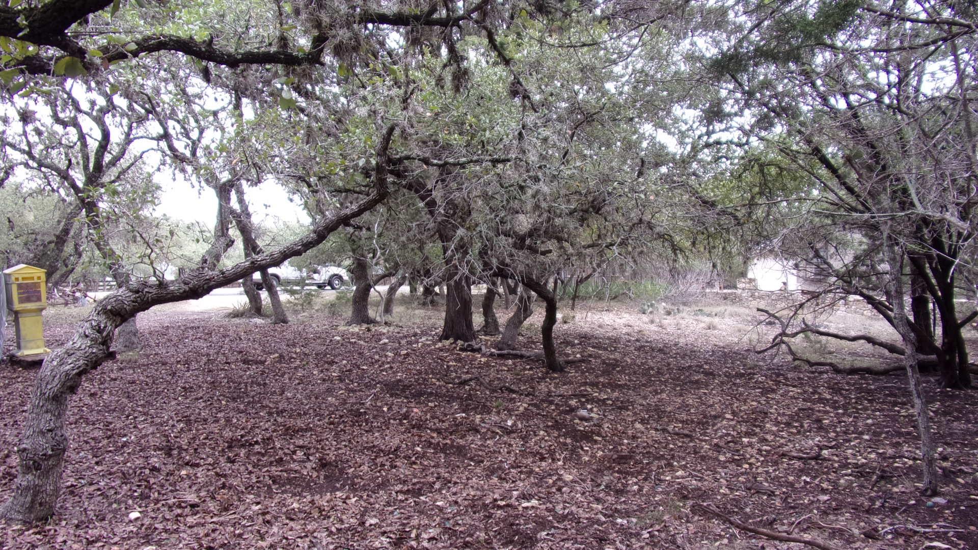 Lot 46 Mountain Wood Canyon Lake TX 78133