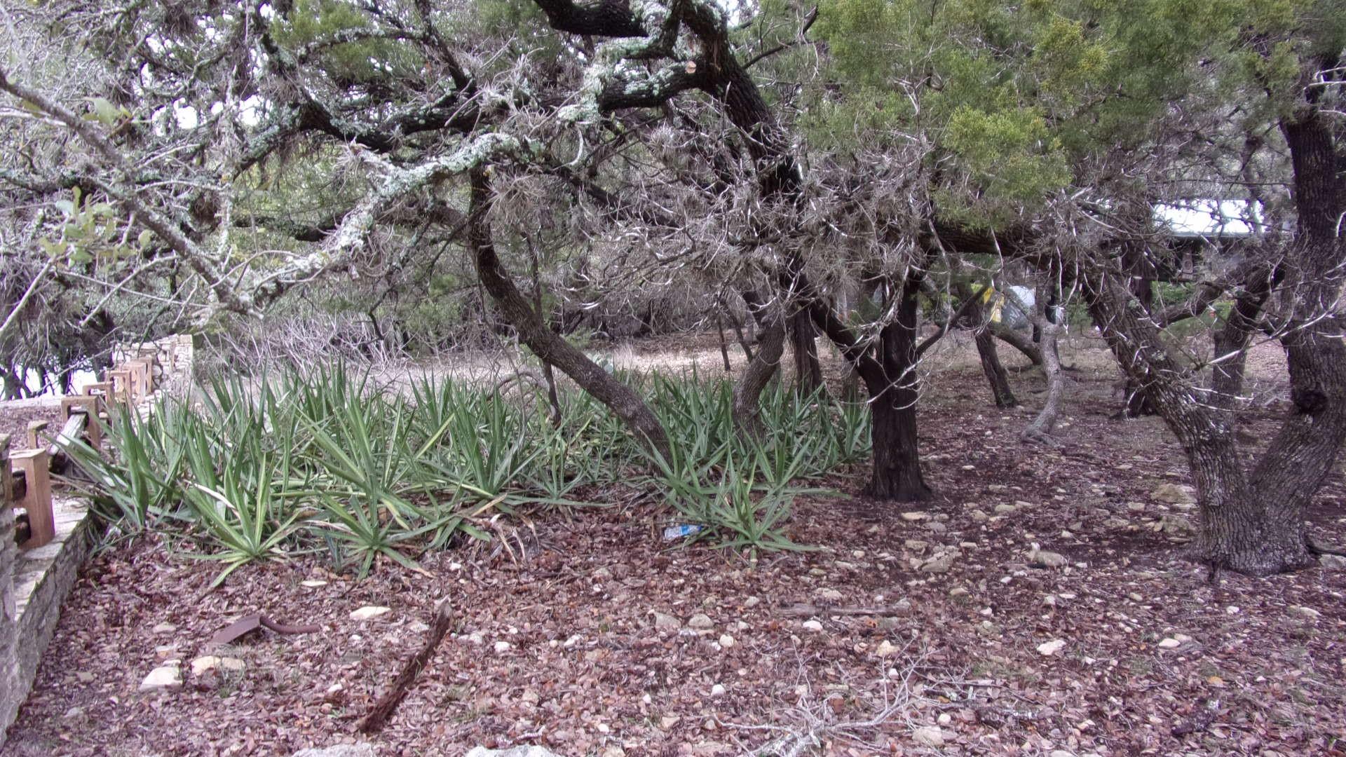 Lot 46 Mountain Wood Canyon Lake TX 78133