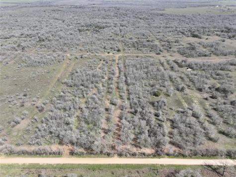 Tbd Lot 8 Cr 424 Road Waelder TX 78629
