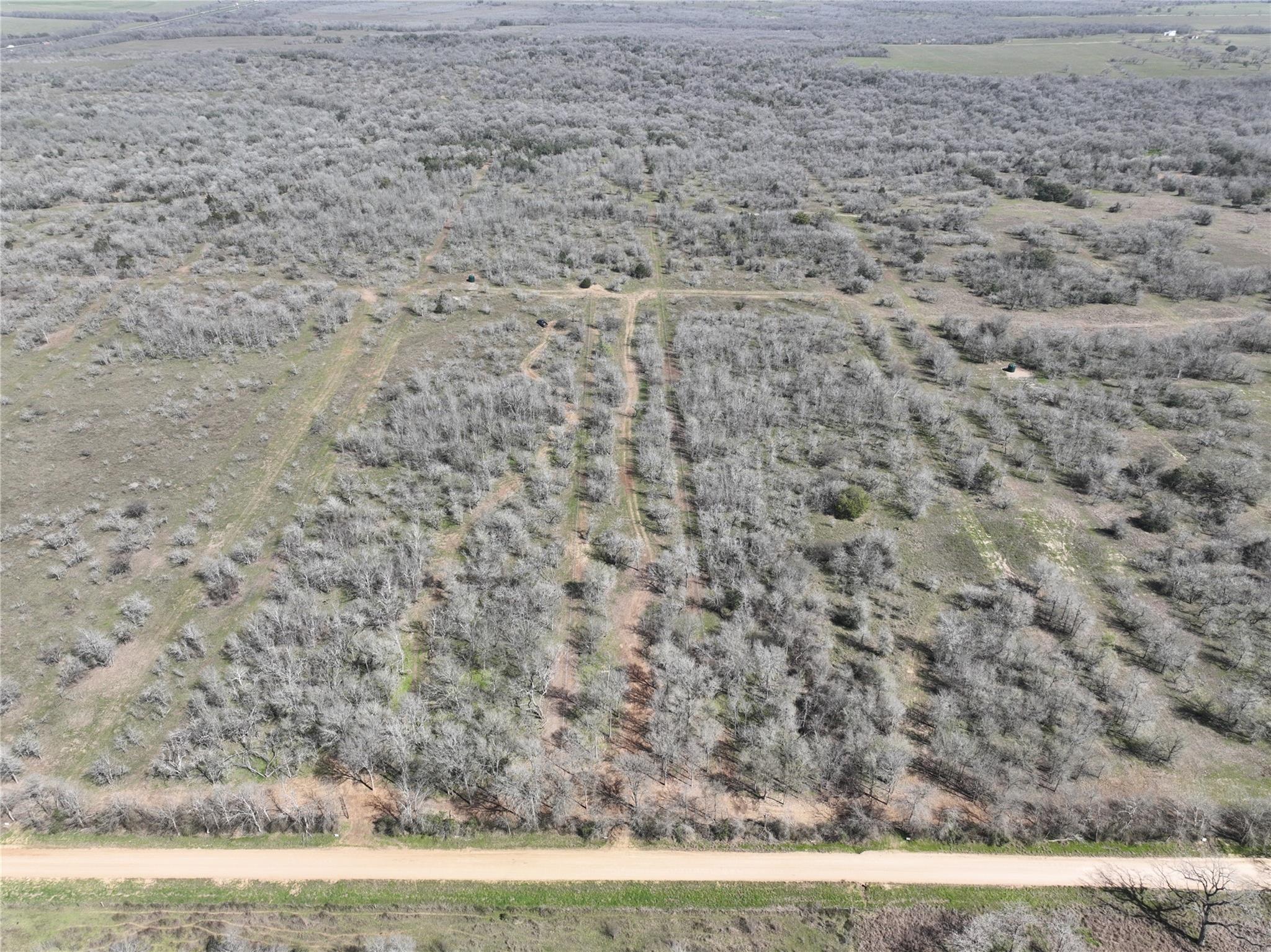 Tbd Lot 8 Cr 424 Road Waelder TX 78629