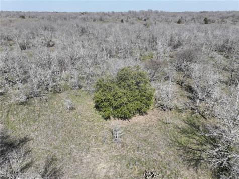 Tbd Lot 8 Cr 424 Road Waelder TX 78629