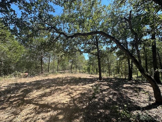 0 Tbd Lot 103 Ripple Brook Drive Bastrop TX 78602