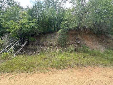 0 Tbd Lot 103 Ripple Brook Drive Bastrop TX 78602